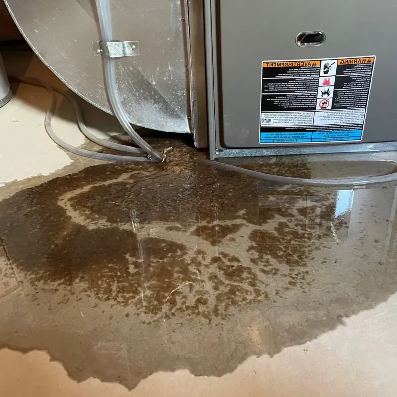 Pipe Burst and Leak Restoration in Jackson County, SD